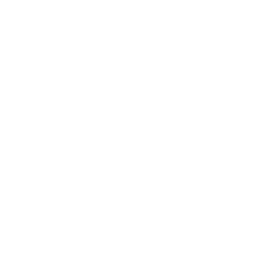 Topl_white_logo_png